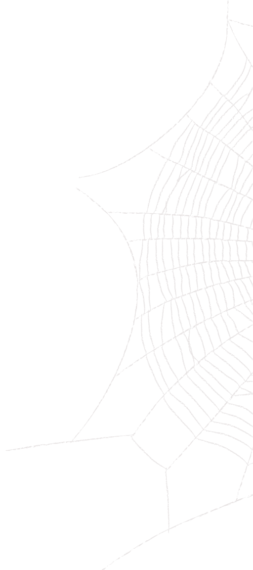 web