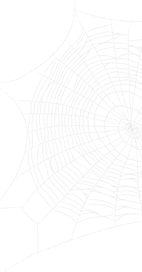 web